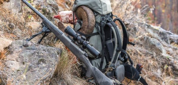 Terminus Ultimate Longrange Hunter Rifle - Image 7