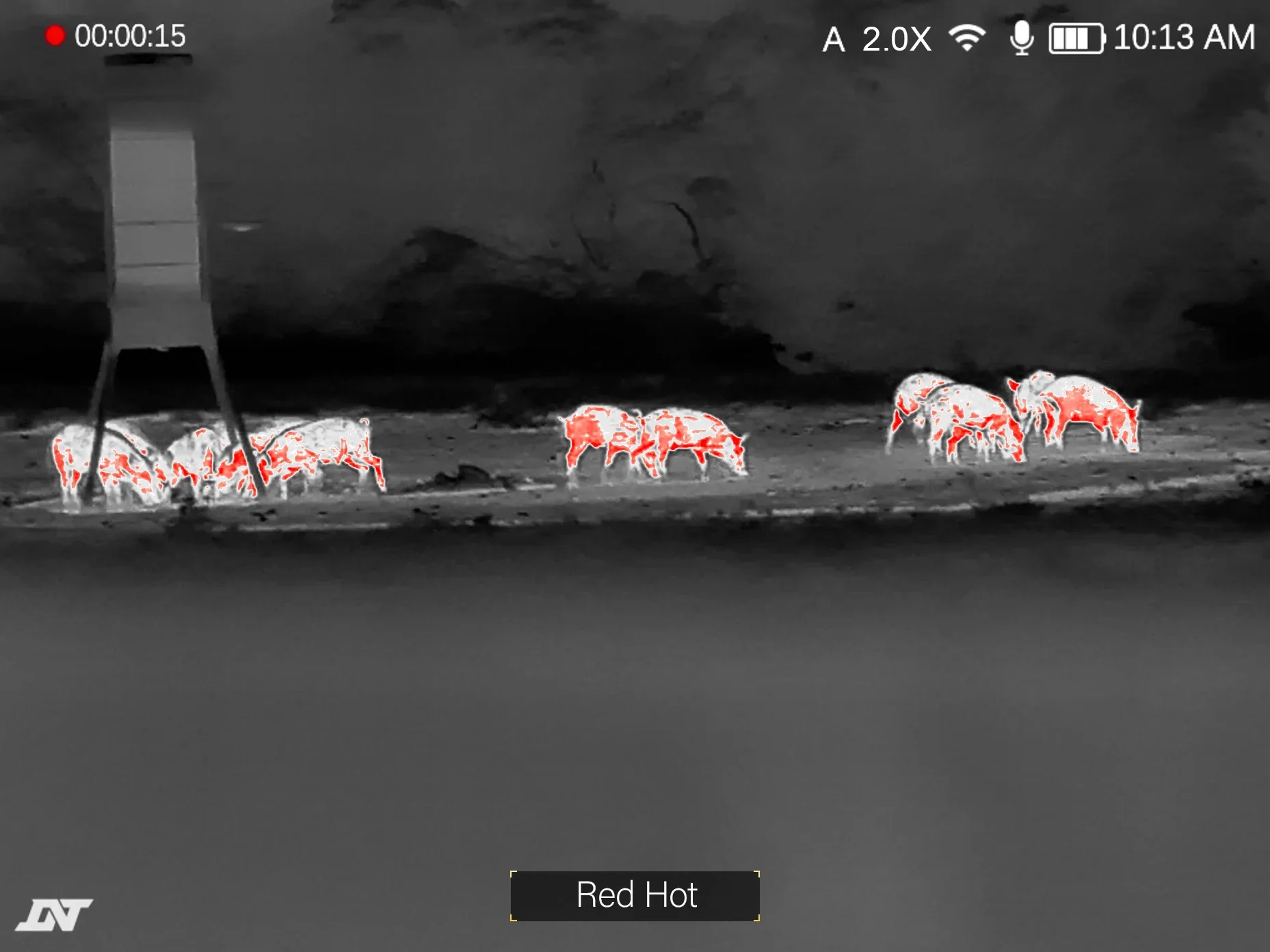 HOUND H635R Red Hot thermal palette, showing a wild boar herd