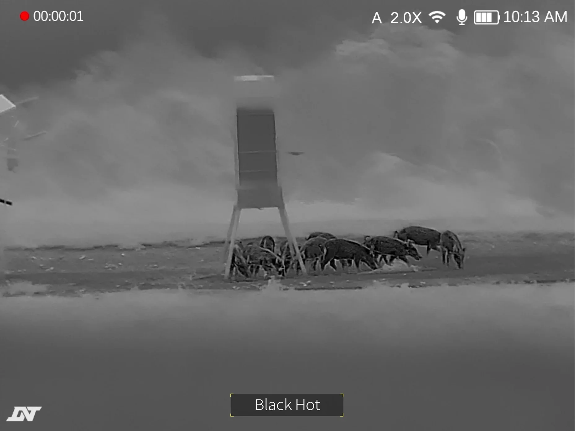 HOUND H325R Black Hot thermal palette, showing a wild boar herd