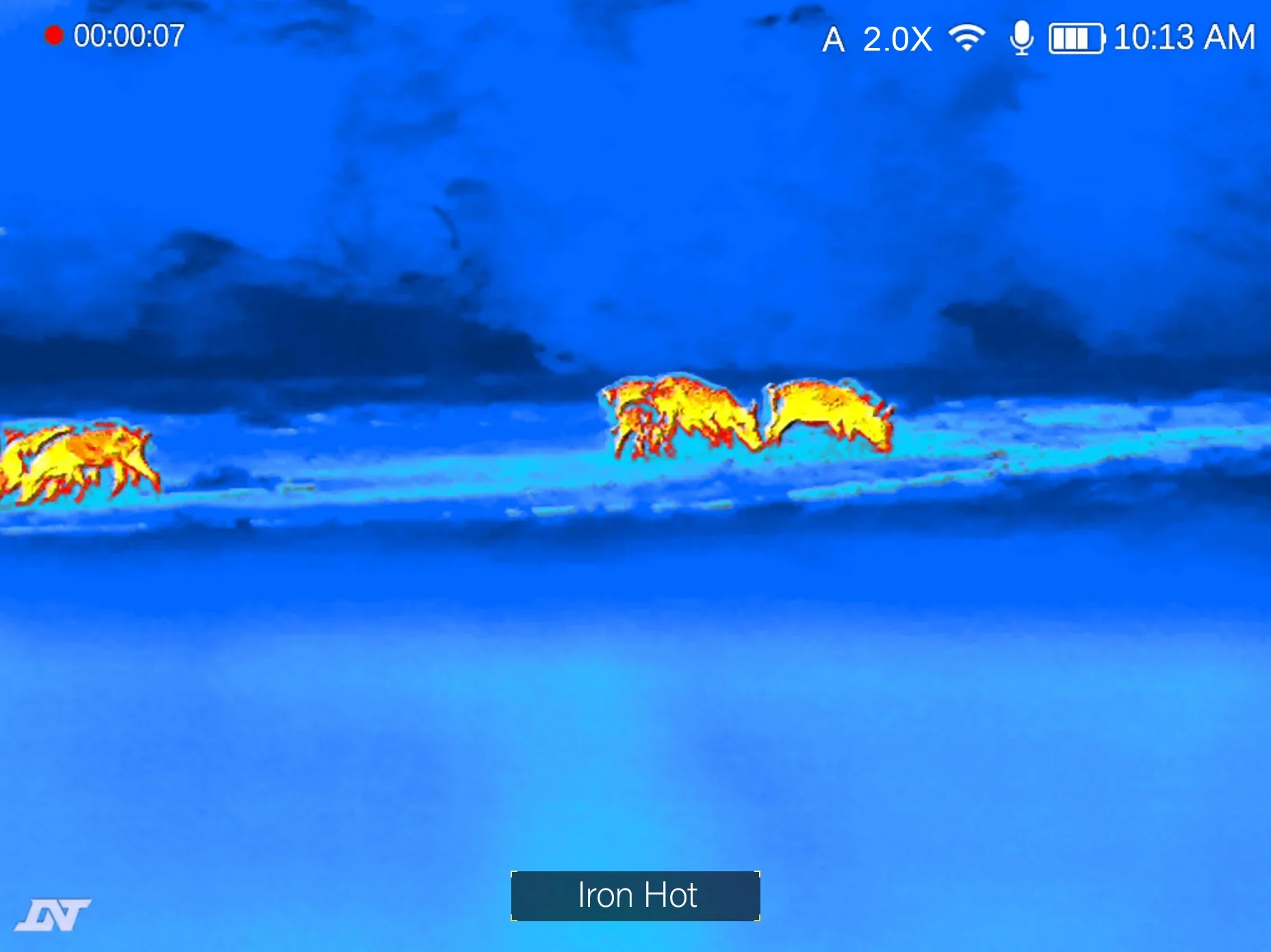 HOUND H325R Iron Hot thermal palette, showing a wild boar herd